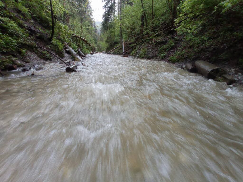 Fotografia 3